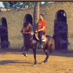 Ayman123 - date a American, 100% free Ayman123