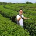huanglee